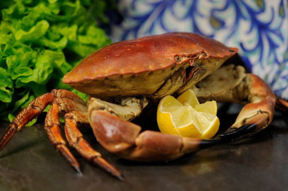 BUEY DE MAR Mayoristas pescados y Mariscos Sevilla