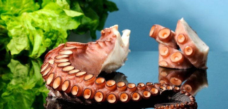 Patas de pulpo cocido